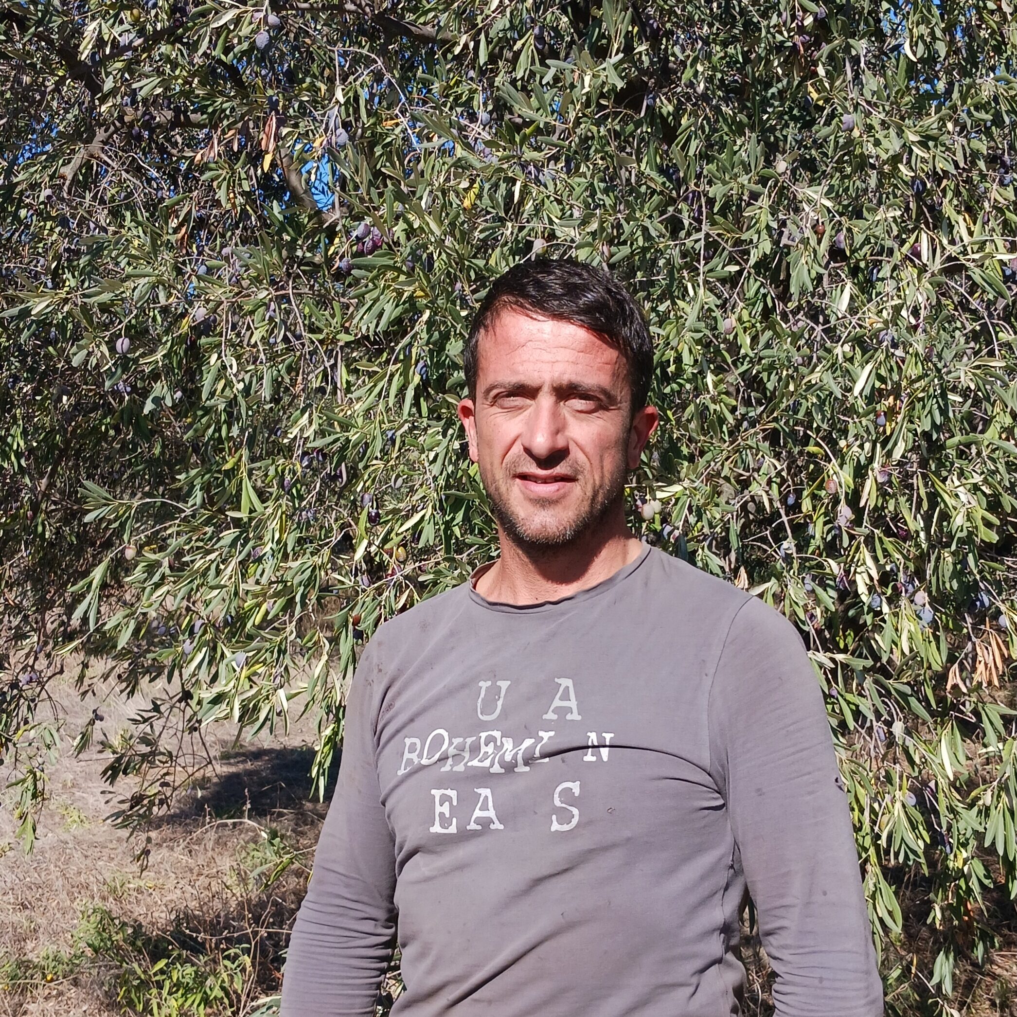 mihalis
